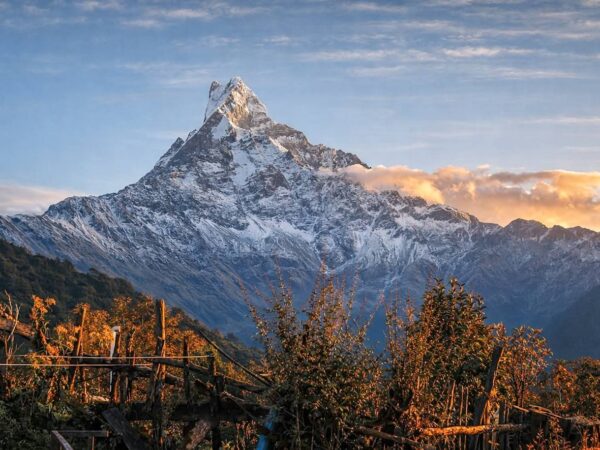 Fish-tail, Mardi Himal Trek