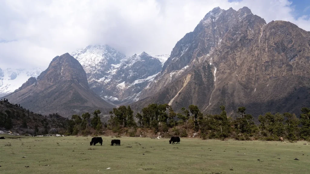 Manaslu Circuit Trek difficulty