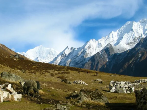 How to Prepare for the Langtang Valley Trek