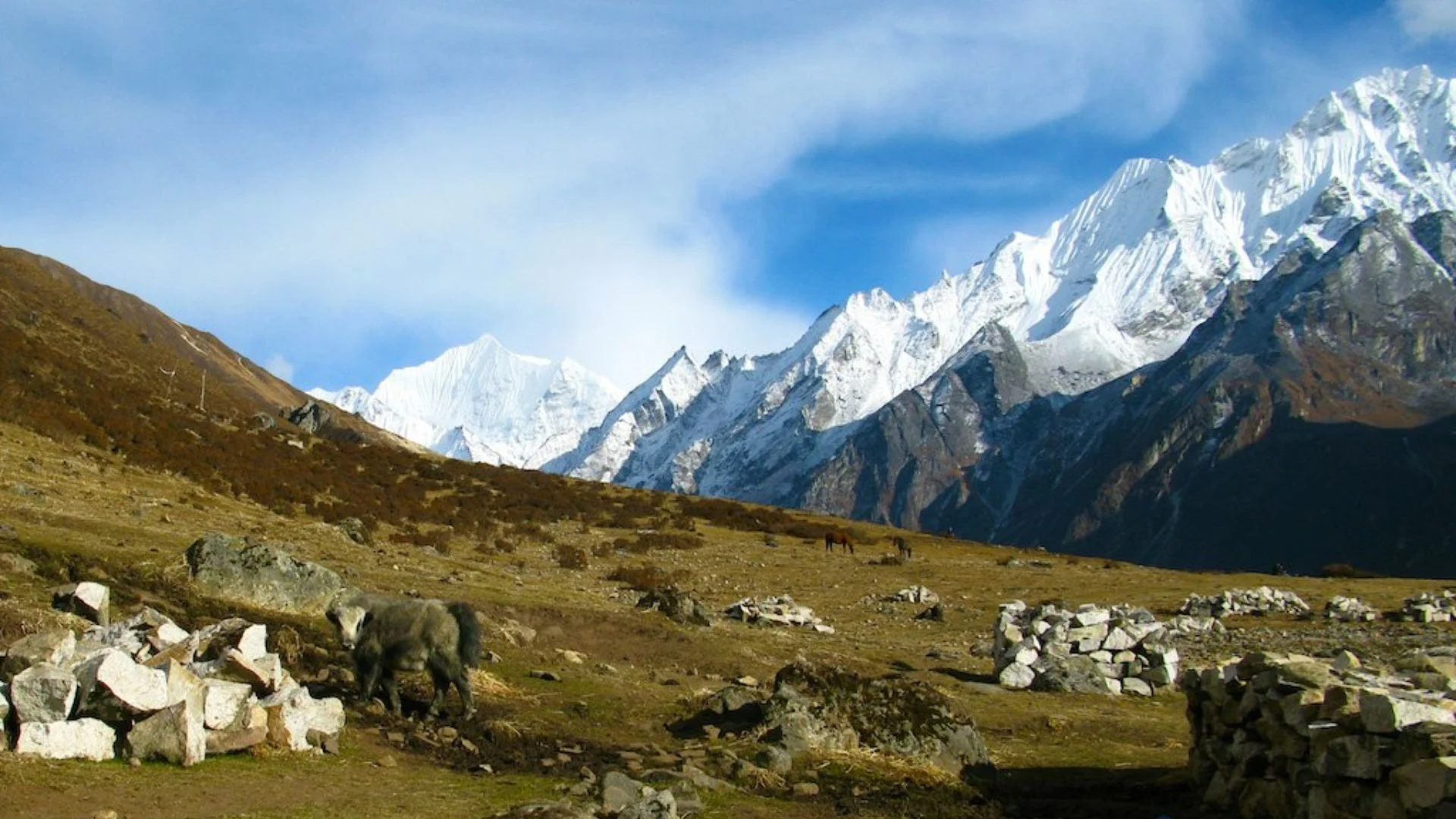 How to Prepare for the Langtang Valley Trek