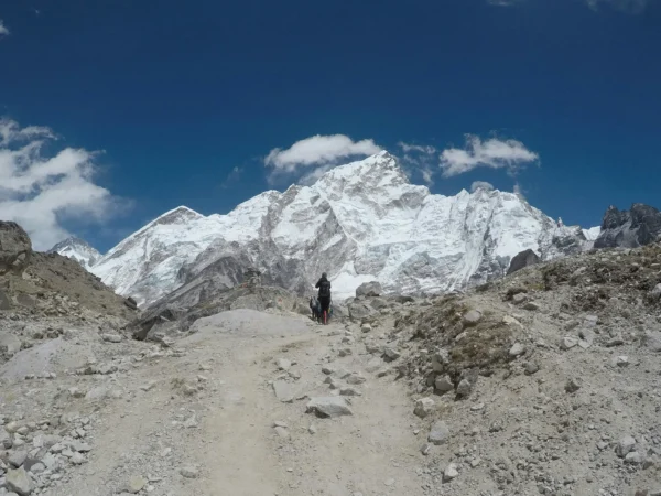 A lone trekker on a rugged path against the backdrop of Everest in the Himalayas